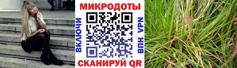 Галлюциногенные грибы Magic Shrooms Купить Гатчина
