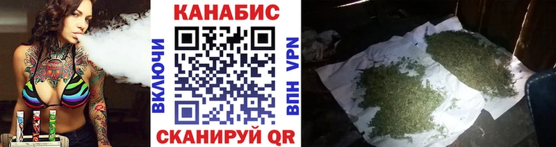 Марихуана AK-47  Купить закладки  Гатчина 